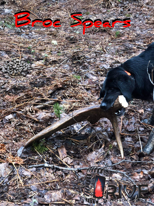 Broc Spears - All American Antler Hounds