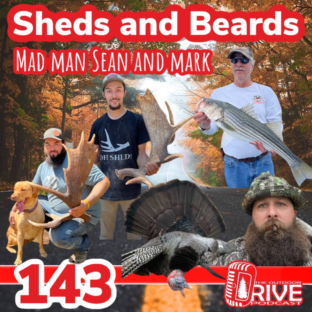 Sheds And Beards - Mad Man, Sean and Mark
