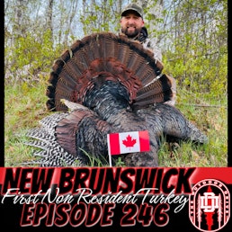 246: First Non resident New Brunswick Turkey