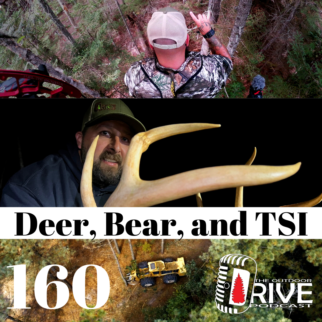 Deer, Bear and Timber stand improvement