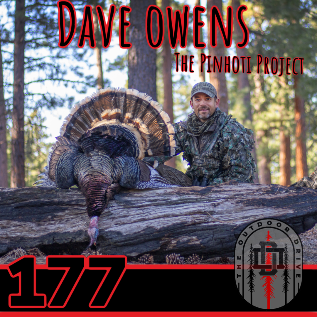 177: Dave Owens The Pinhoti Project
