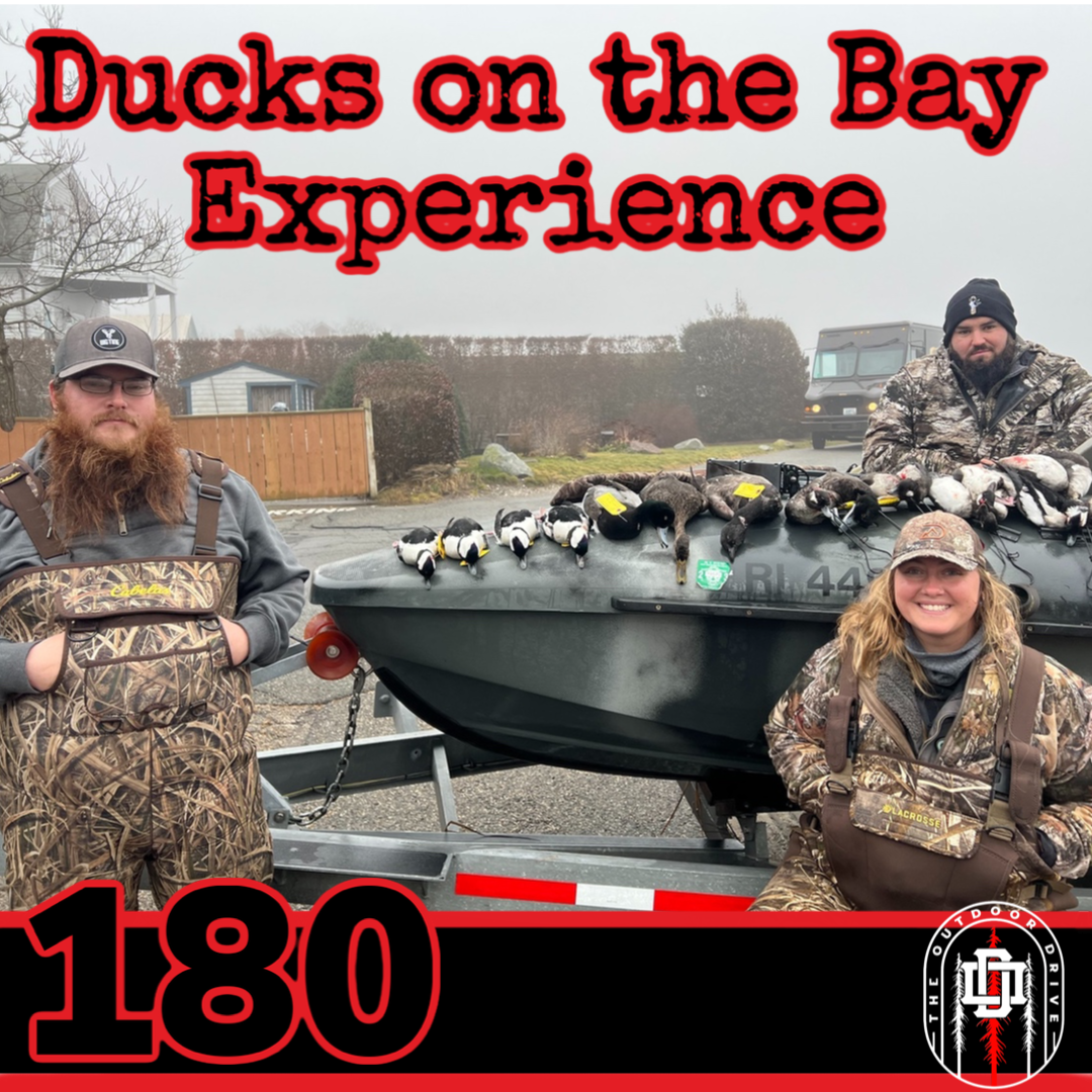 Ducks on the Bay on Experience