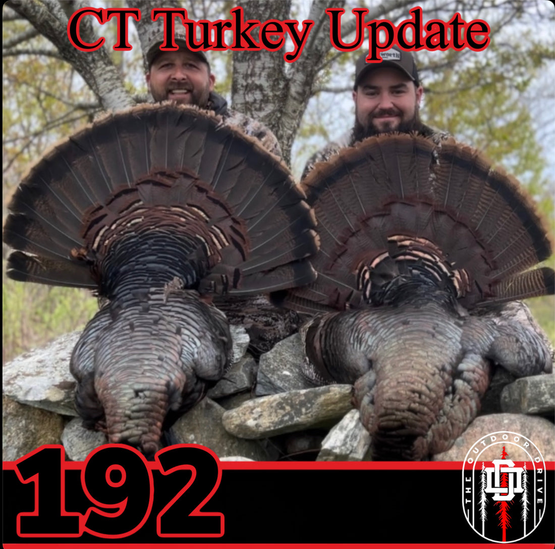 2023 Connecticut Turkey Season Update