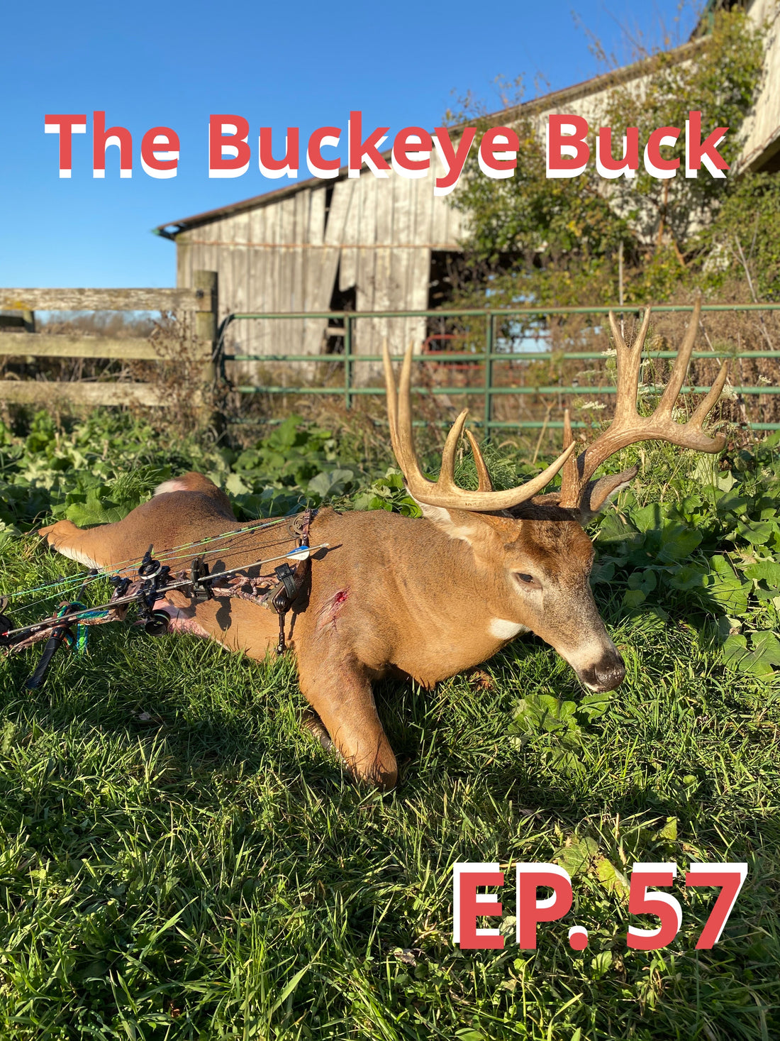 Eric Smith - The Buckeye Buck - Episode 57