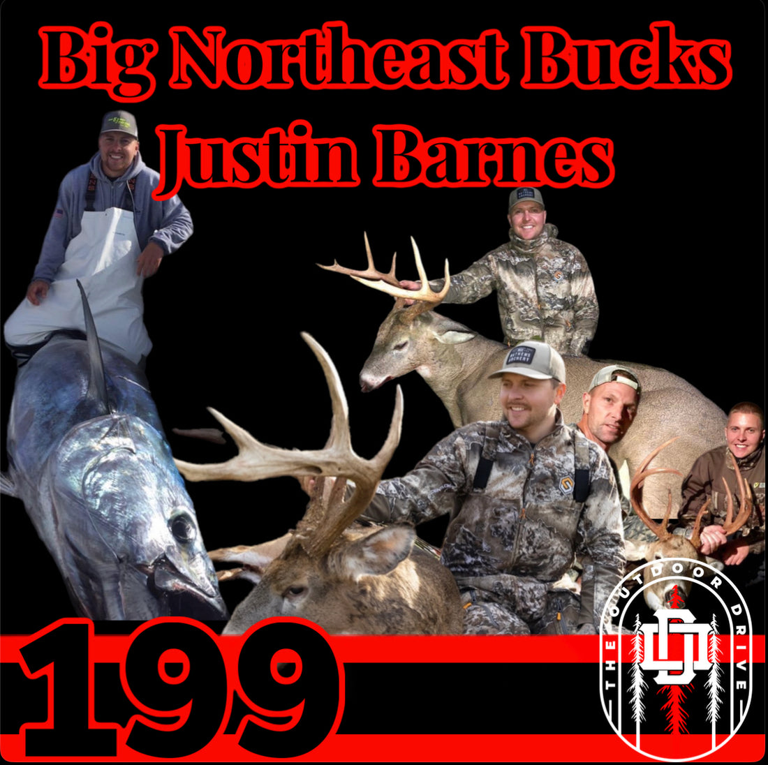 Chasing Big Bucks in Northeast