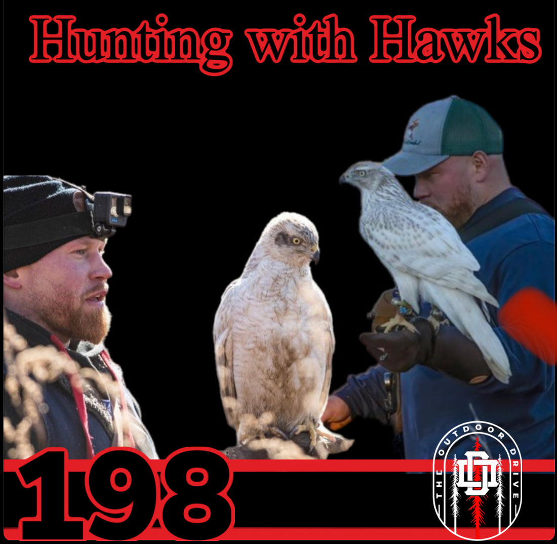 Hunting with Hawks with Casey Everett