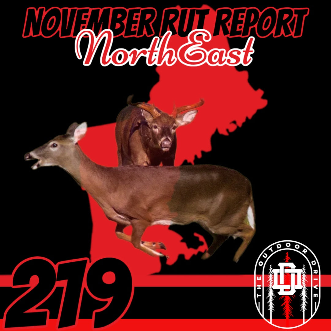 Northeast Rut Report with Trev and Martic