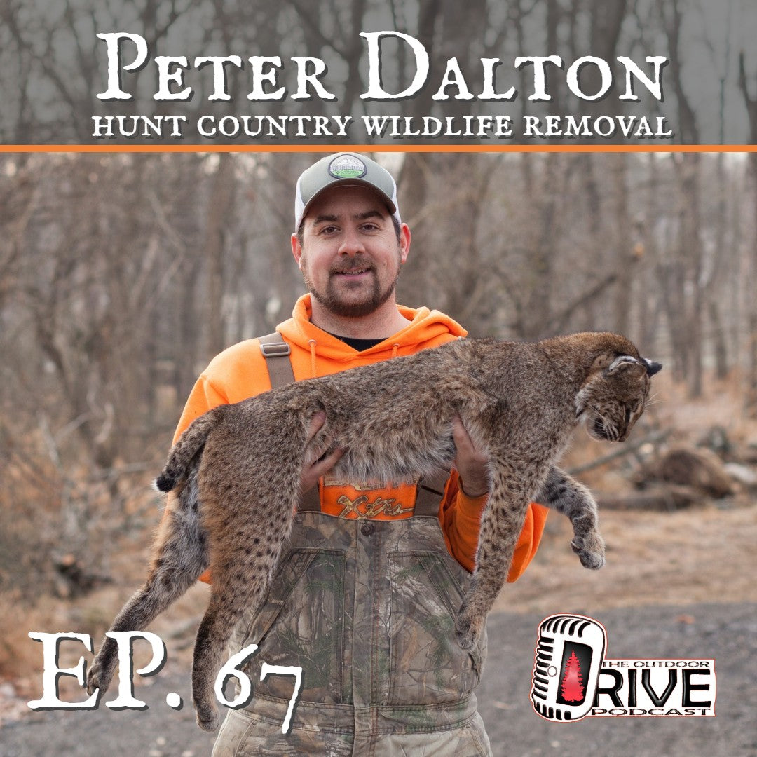 ITS A TRAP! with Peter Dalton - Episode 67