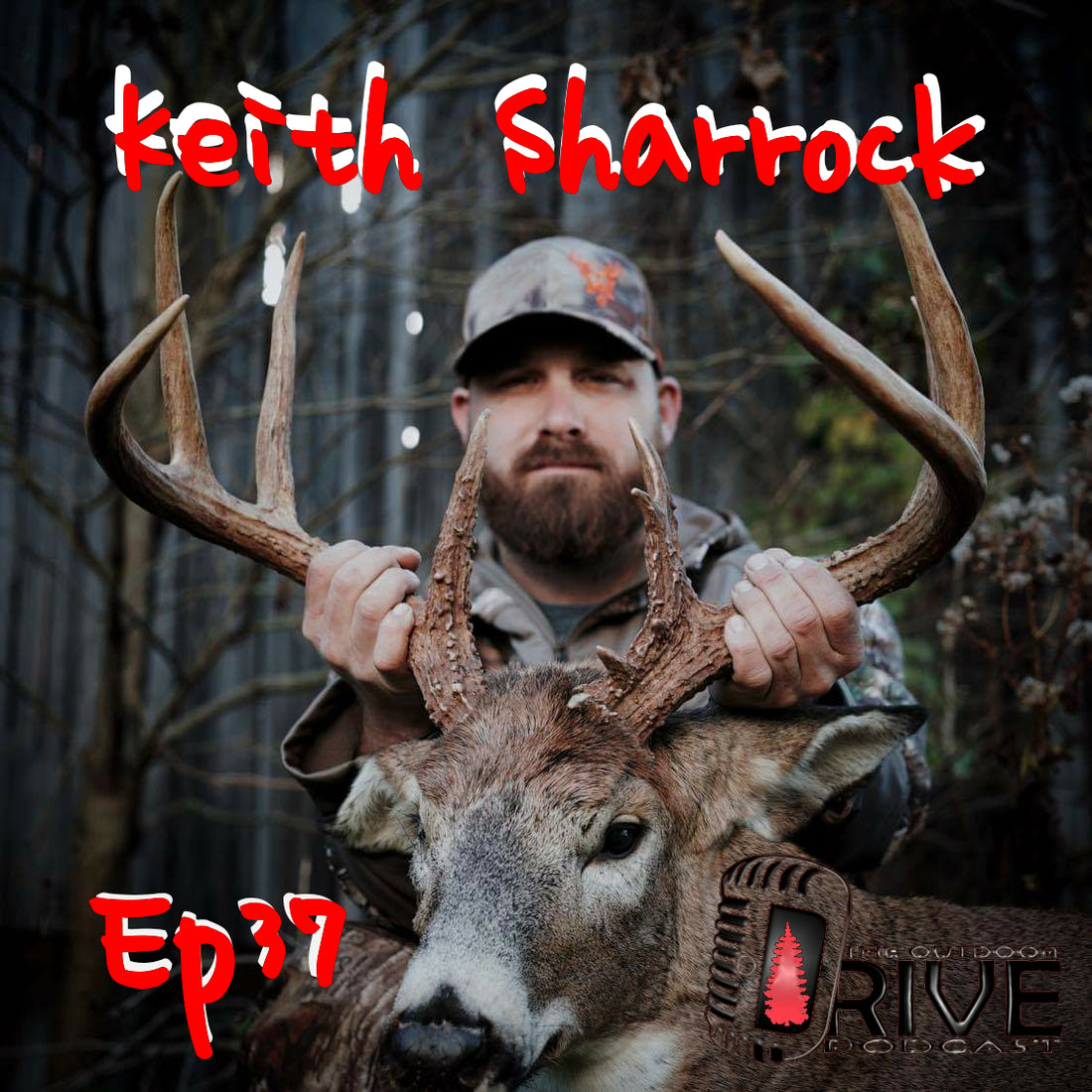 Keith Sharrock - Tattooed In The Wild