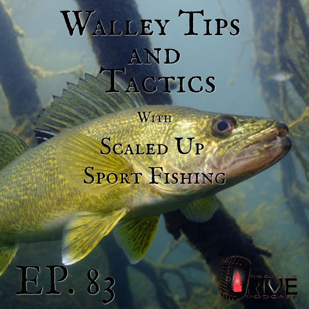 Walleye Tips and Tactics | Scaled Up Sport Fishing | Episode 83