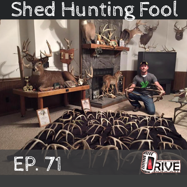 Shed Huntin' Fool - Episode 71